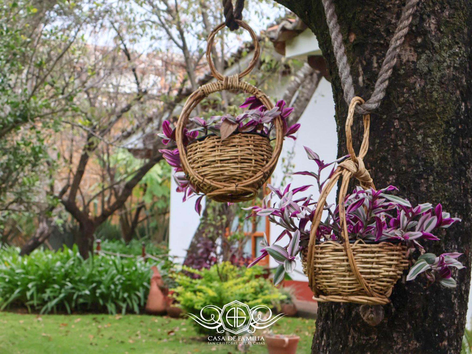 Hotel Casa De Familia De San Cristobal San Cristóbal de Las Casas المظهر الخارجي الصورة
